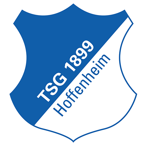 Wappen Hoffenheim